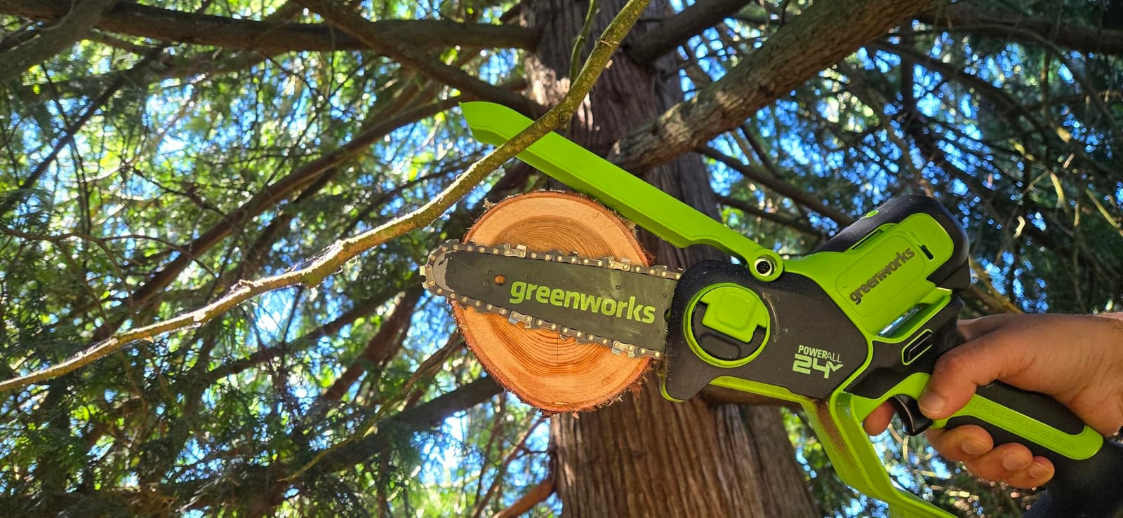 Greenworks 24V 6in Mini Chainsaw, 2.0 Ah Battery and Charger customer photo 1