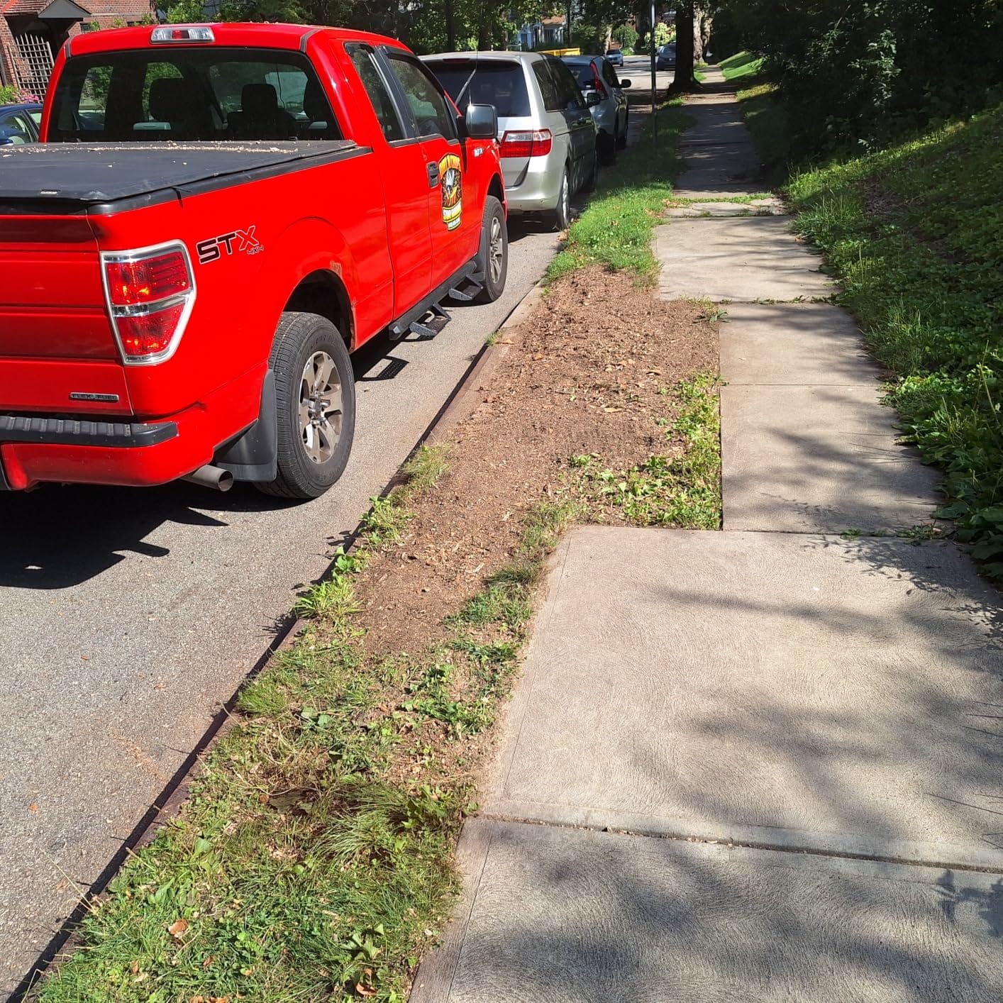 SMANOW Running Boards Step Bars for 2015-2026 Ford F150 Crew Cab Side Step customer photo 1