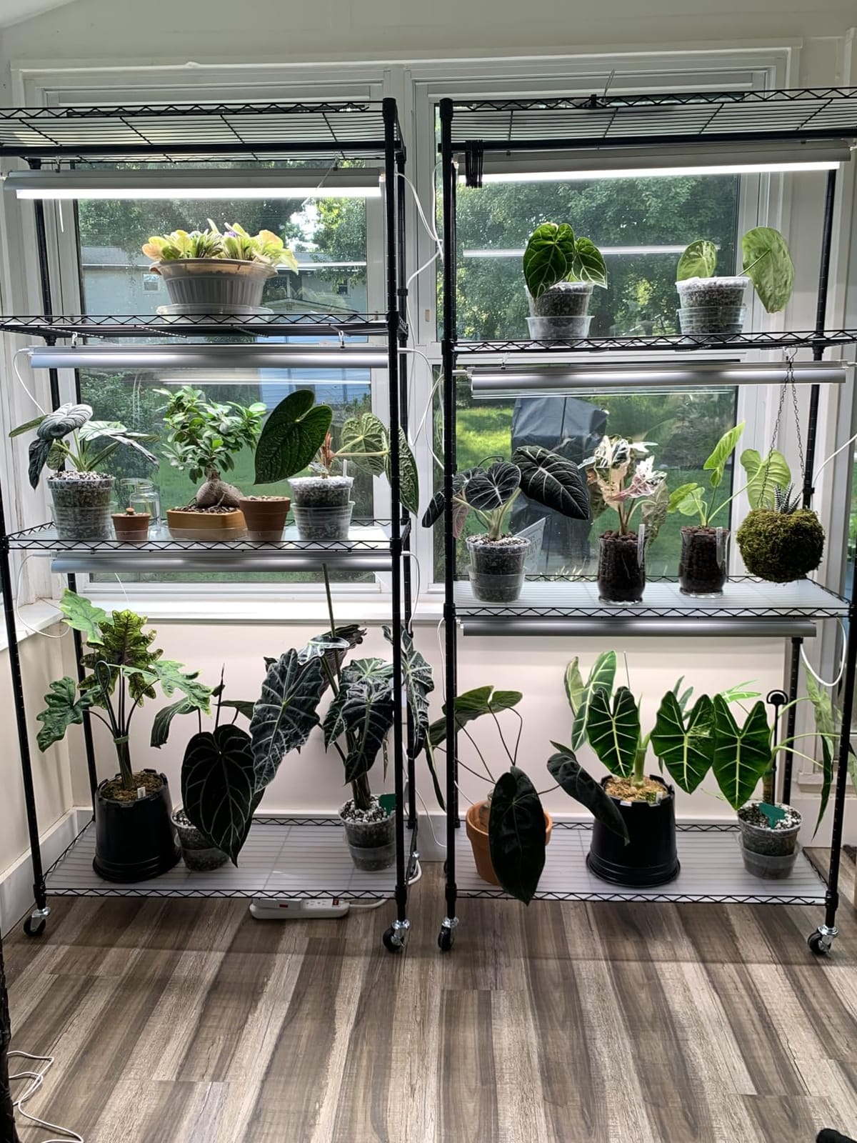 Barrina CX3 Plant Stand with Grow Light, 4-Tier, 108W, 35.4x13.8x70.9IN customer photo 2