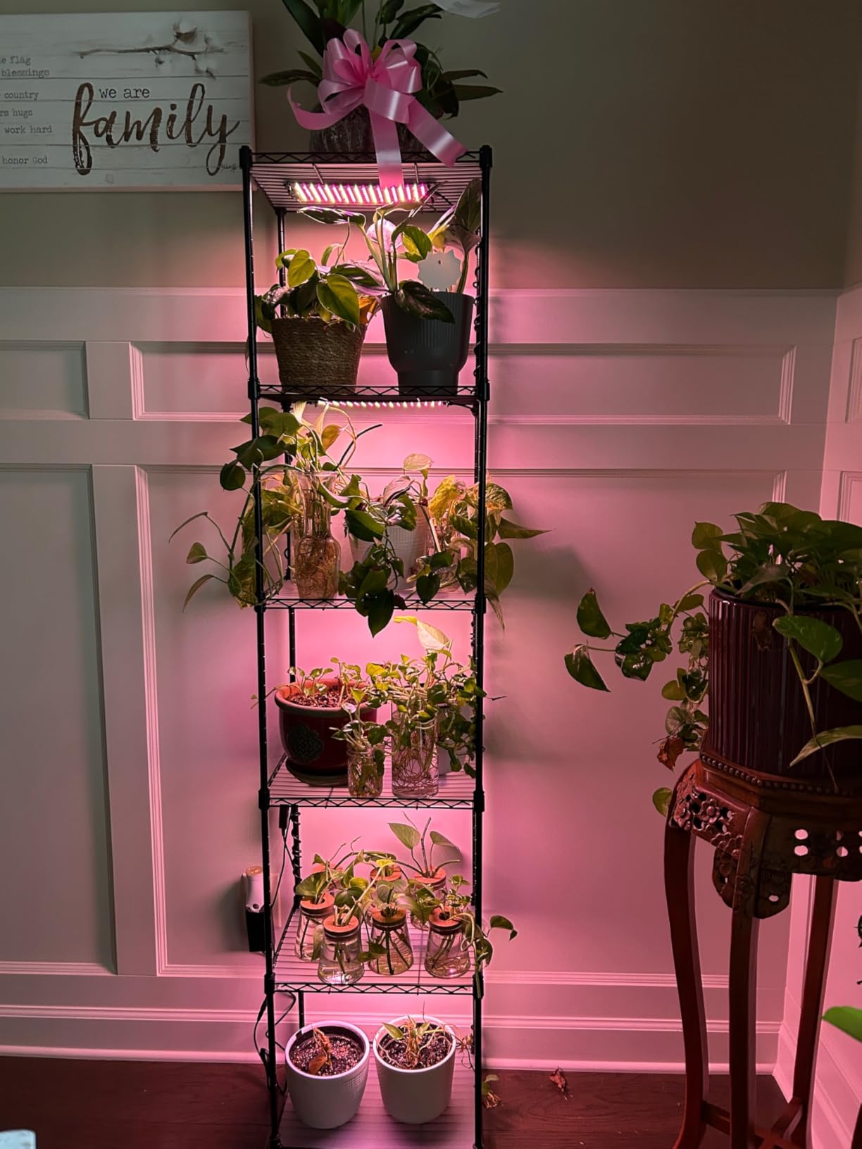 Barrina CX83 Plant Stand with Grow Lights, 6-Tier Shelf, 15.7x11.8x70.9IN customer photo 1