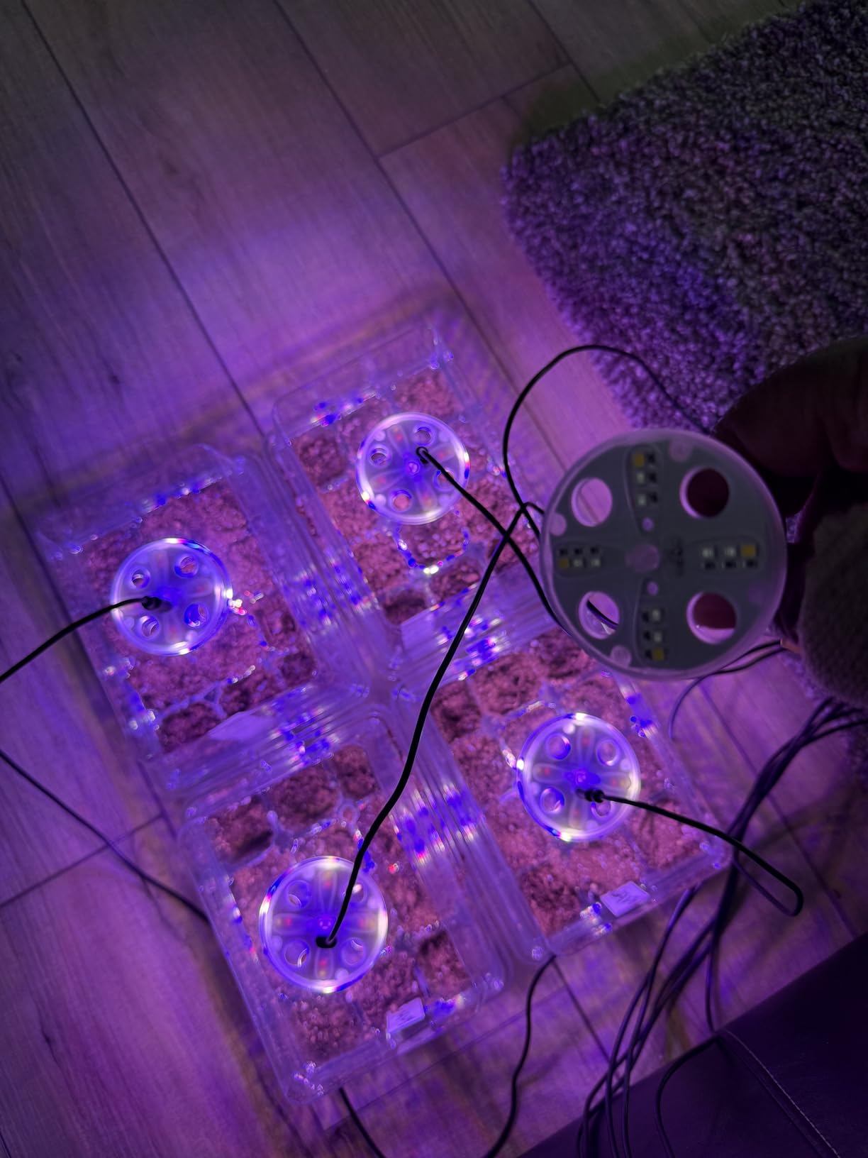 Bonviee Seed Starter Trays with 12-LED Grow Lights, Clear, 5 Pack customer photo 1