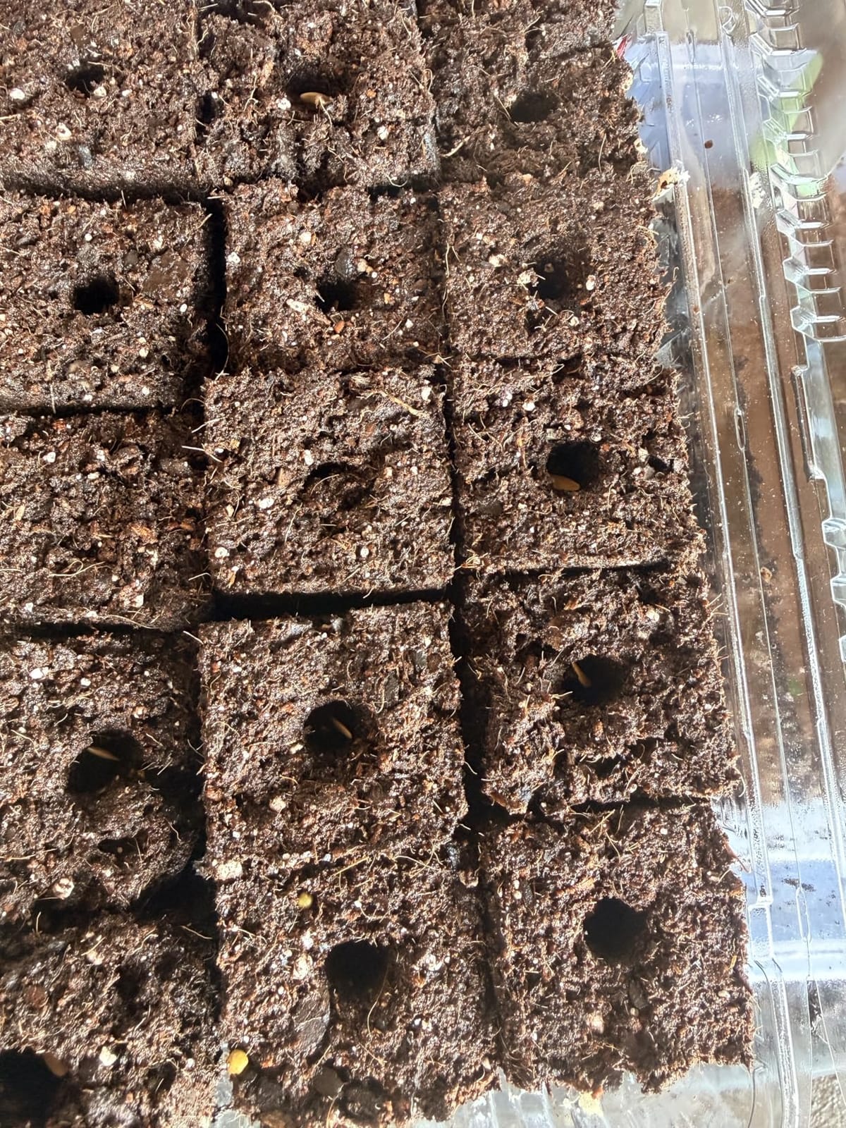 Soil Blocker, 4 Cell Soil Block Maker 2 Inch with 3 Sizes Seed Pins, Seed Handheld Block Maker with Comfortable Handle, Garden Blocking Tools for Seedings, Cuttings, Greenhouses customer photo 1
