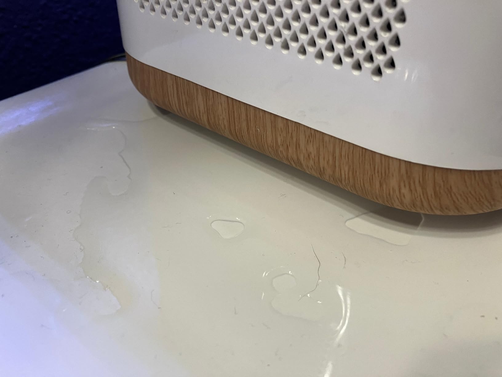 Eva-Dry Dewplanter, 2-in-1 Dehumidifier & Self-Watering Planter customer photo 1