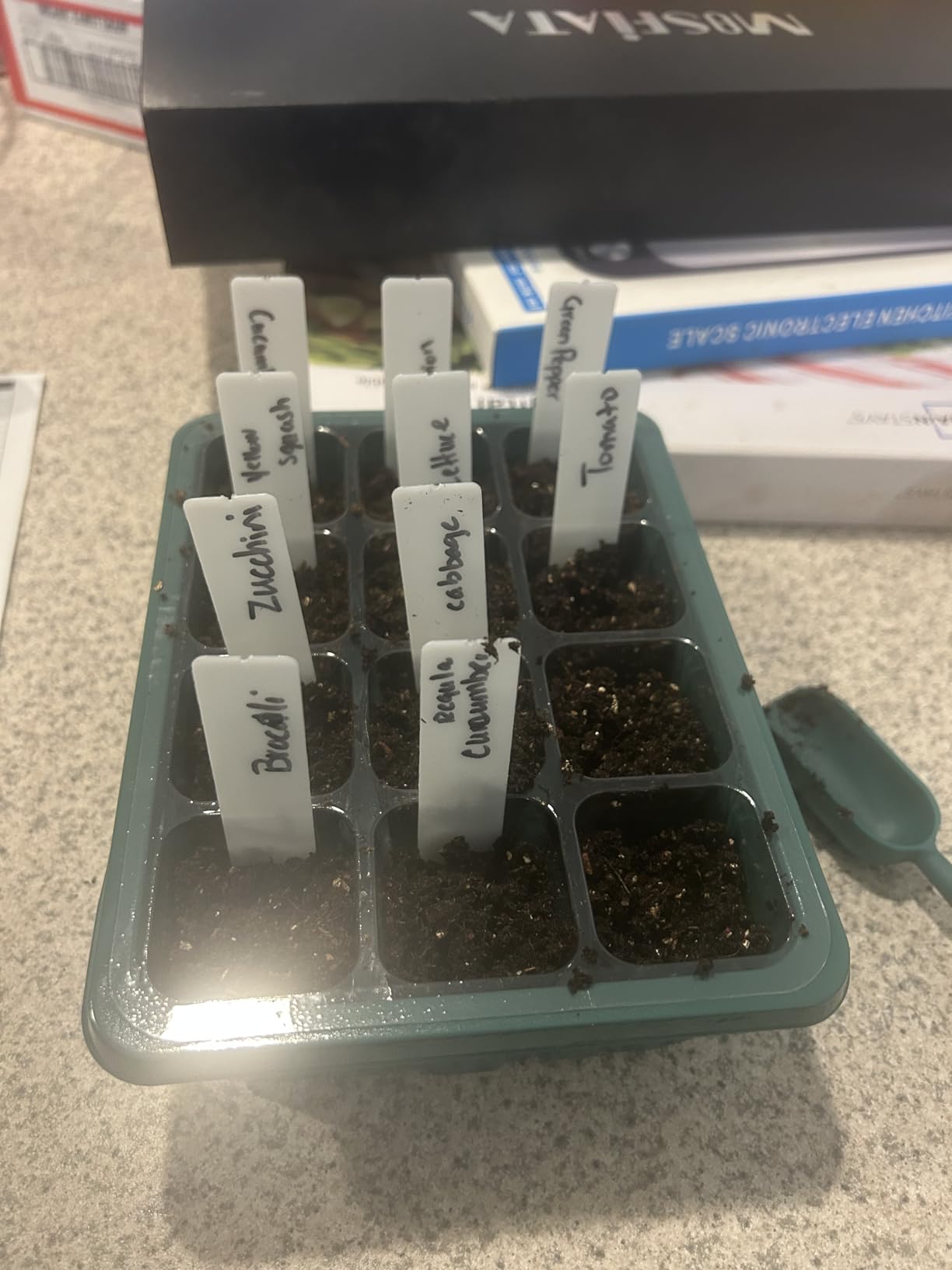 Idealife Seed Starter Tray,Plant Propagation Station with Grow Light,2 Pcs customer photo 1