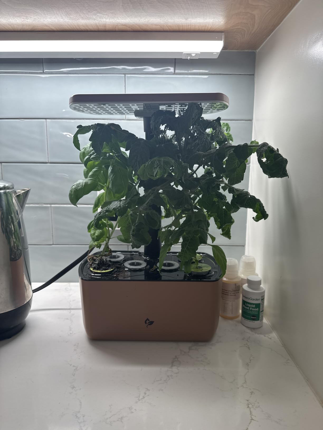 AeroGarden Harvest Lite, Cream customer photo 2