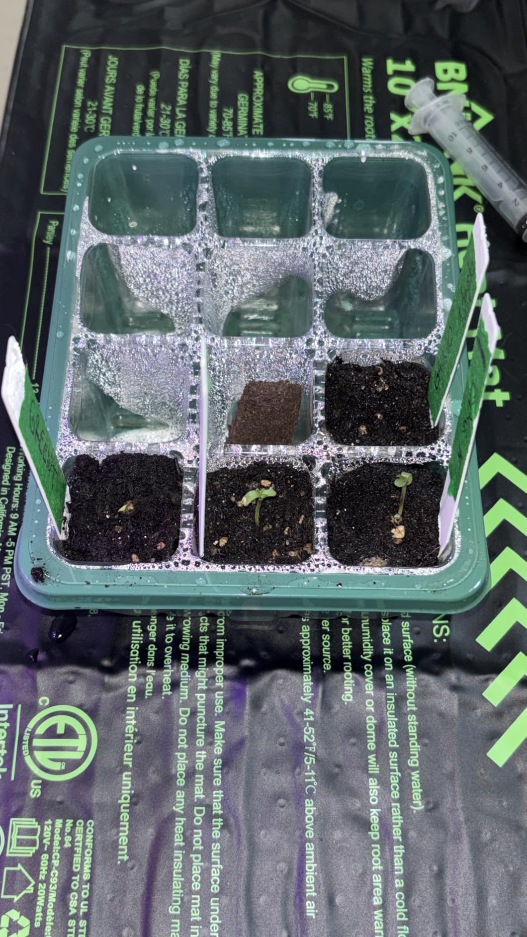 Seed Starter Trays with Grow Light Kit, 2 Pack Plant Greenhouse Propagator customer photo 1