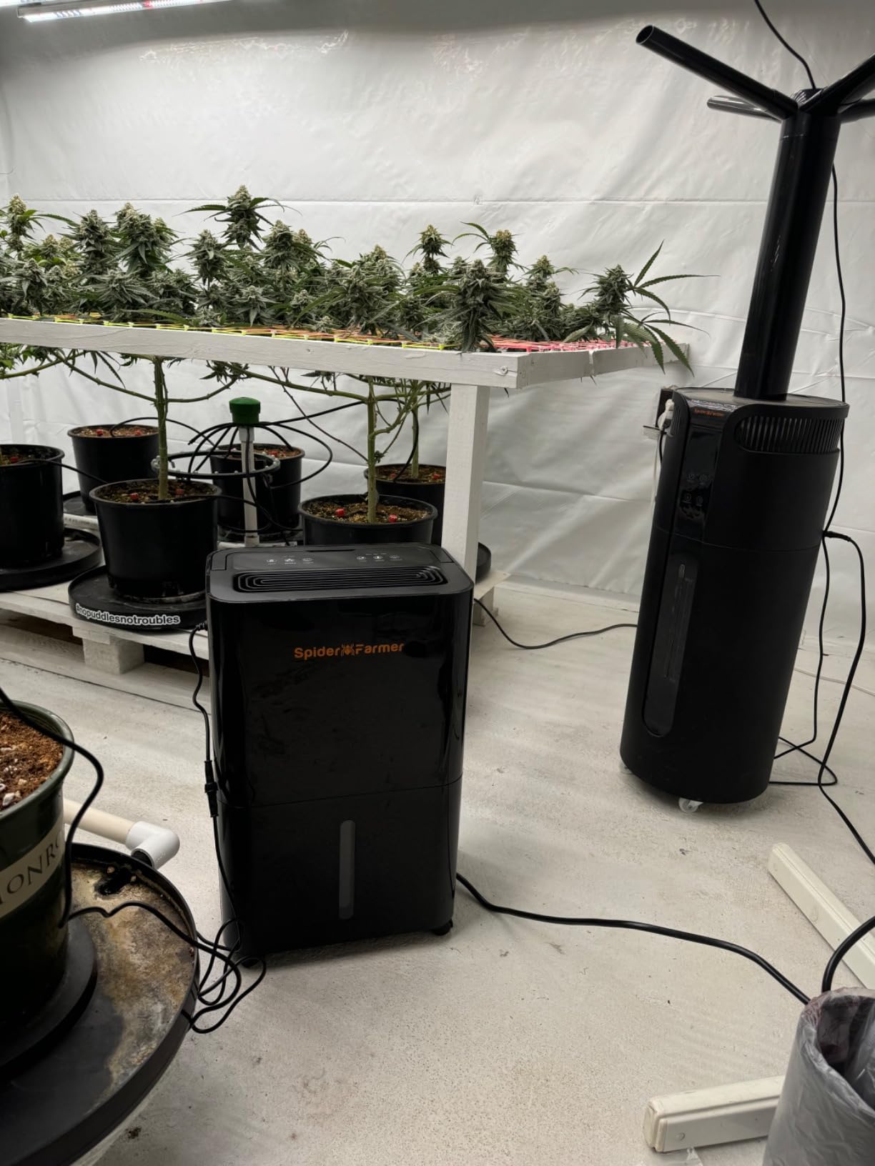 SPIDER FARMER 32 Pints Plant Dehumidifier for Grow Tent,Humidity Control customer photo 1