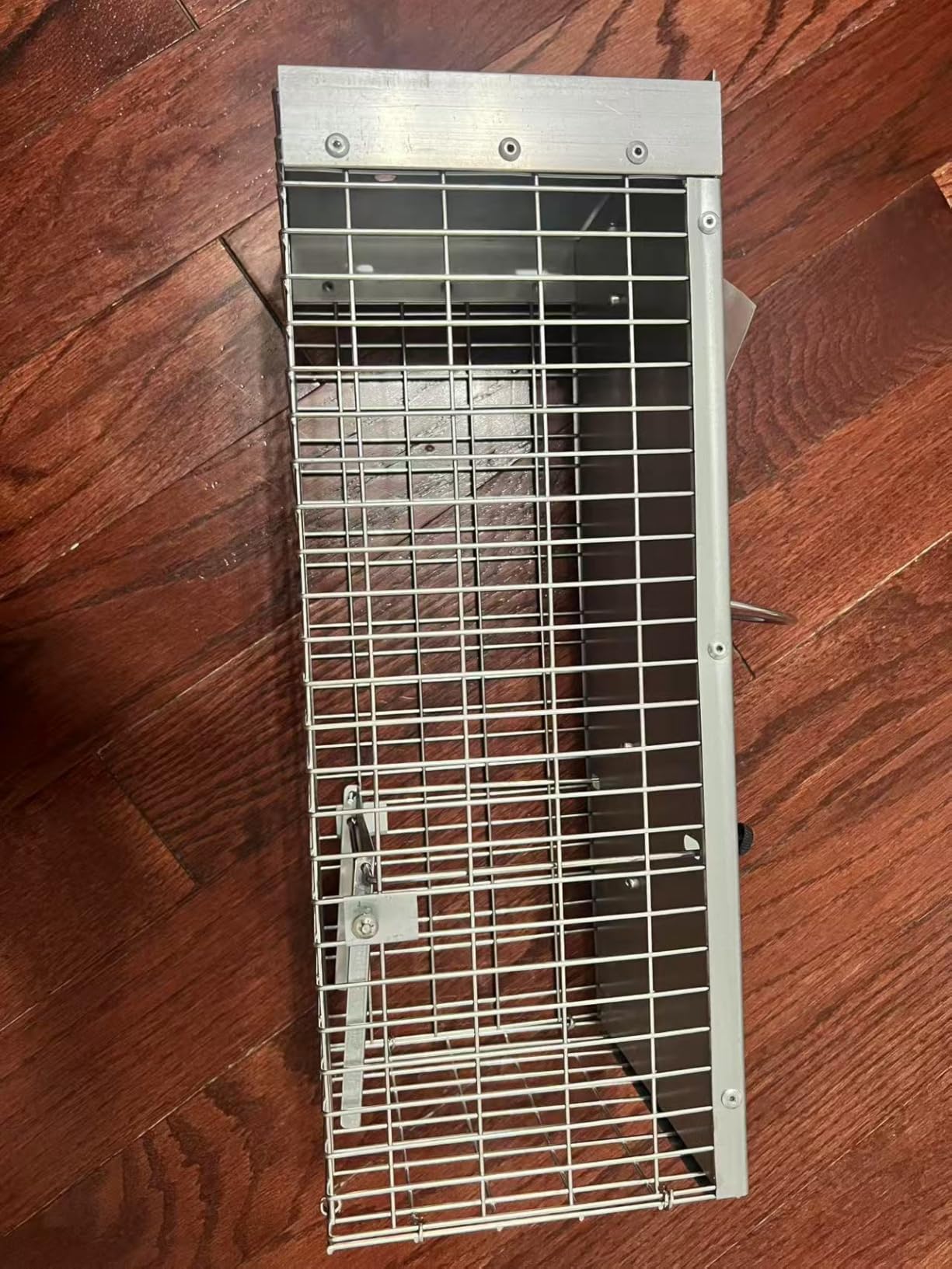 Squirrel Traps, Live Animal Cage Trap Humane Catch and Release Mice, Rats, Chipmunks, and Other Rodents, Outdoor Garden, Yard and Attic customer photo 1