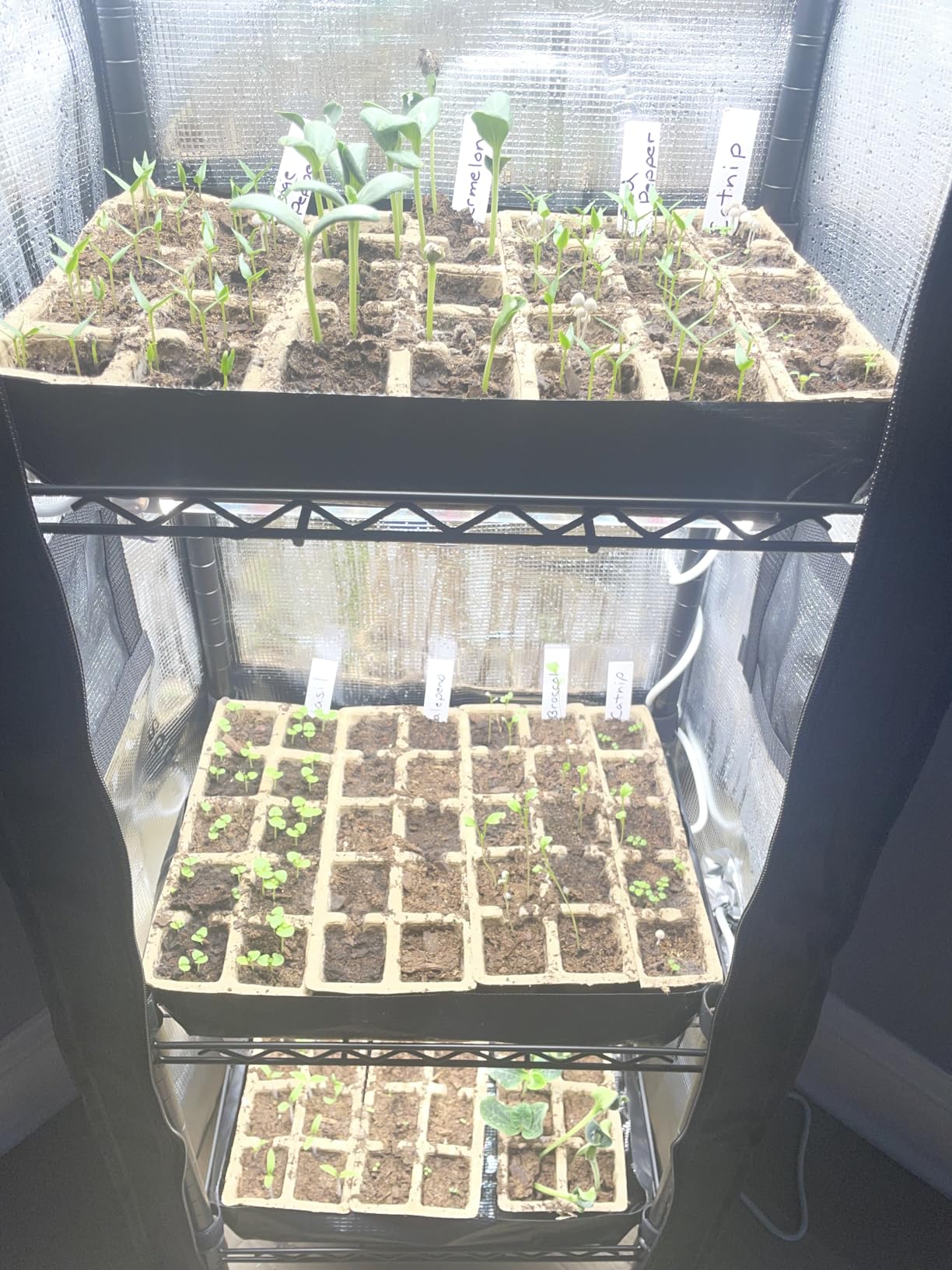 Spider Farmer 4 Tier Mini Greenhouse Plant Shelf with Grow Lights Indoor customer photo 2