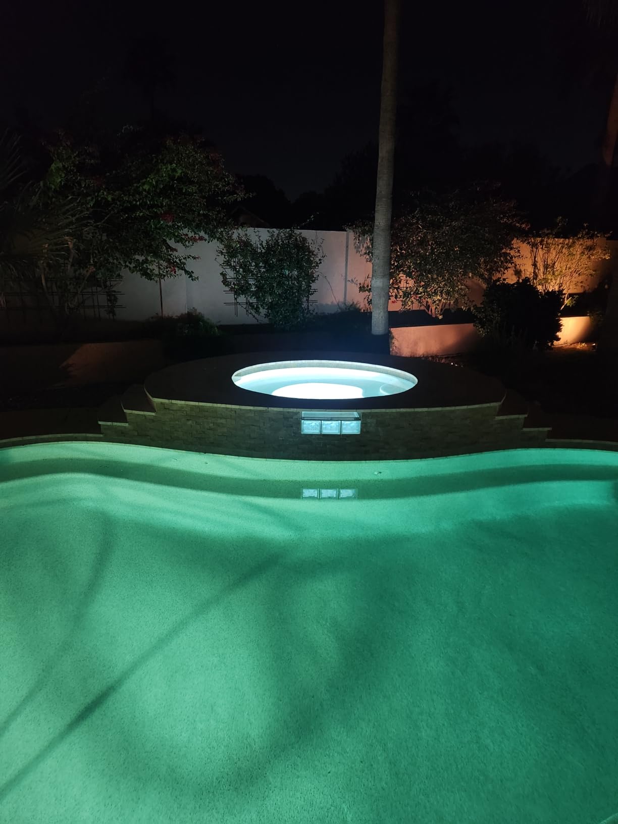 SURAIELEC 120V Pool Lights for Inground Pool, 10 Inch, Cool White 6000K customer photo 2