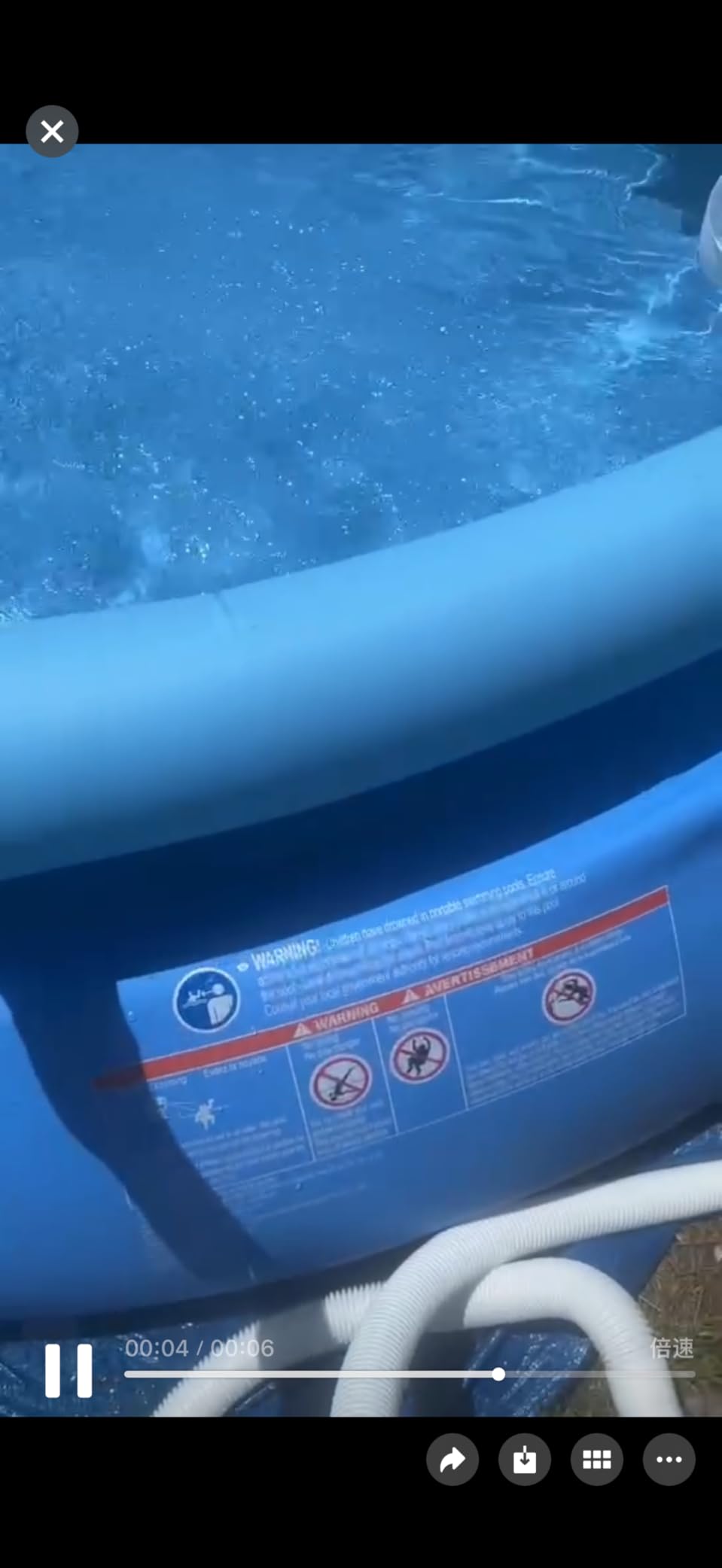 DIMAR GARDEN 10ft x 30in Inflatable Swimming Pool, Outdoor Round Top Ring Above Ground Pools customer photo 1