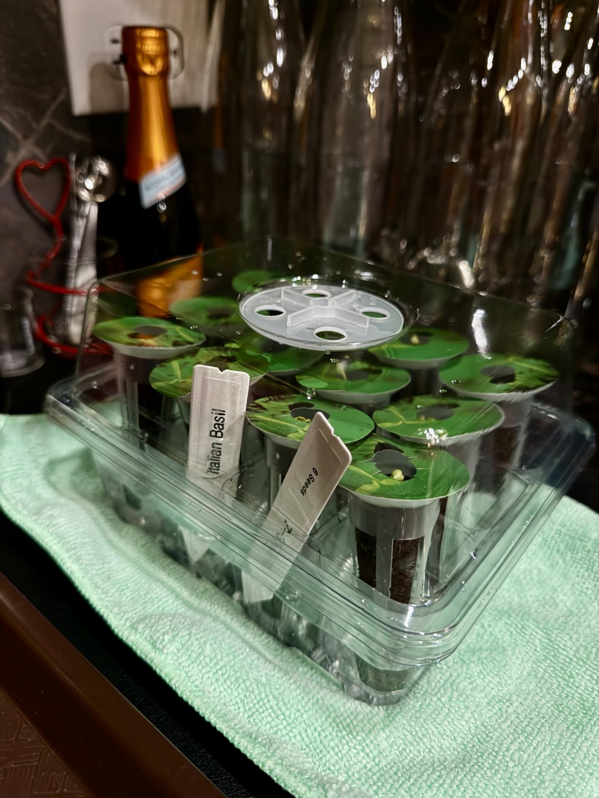Bonviee 5-Pack Seed Starter Trays, Humidity Dome, Base, 12-Cell Tray, Clear customer photo 1