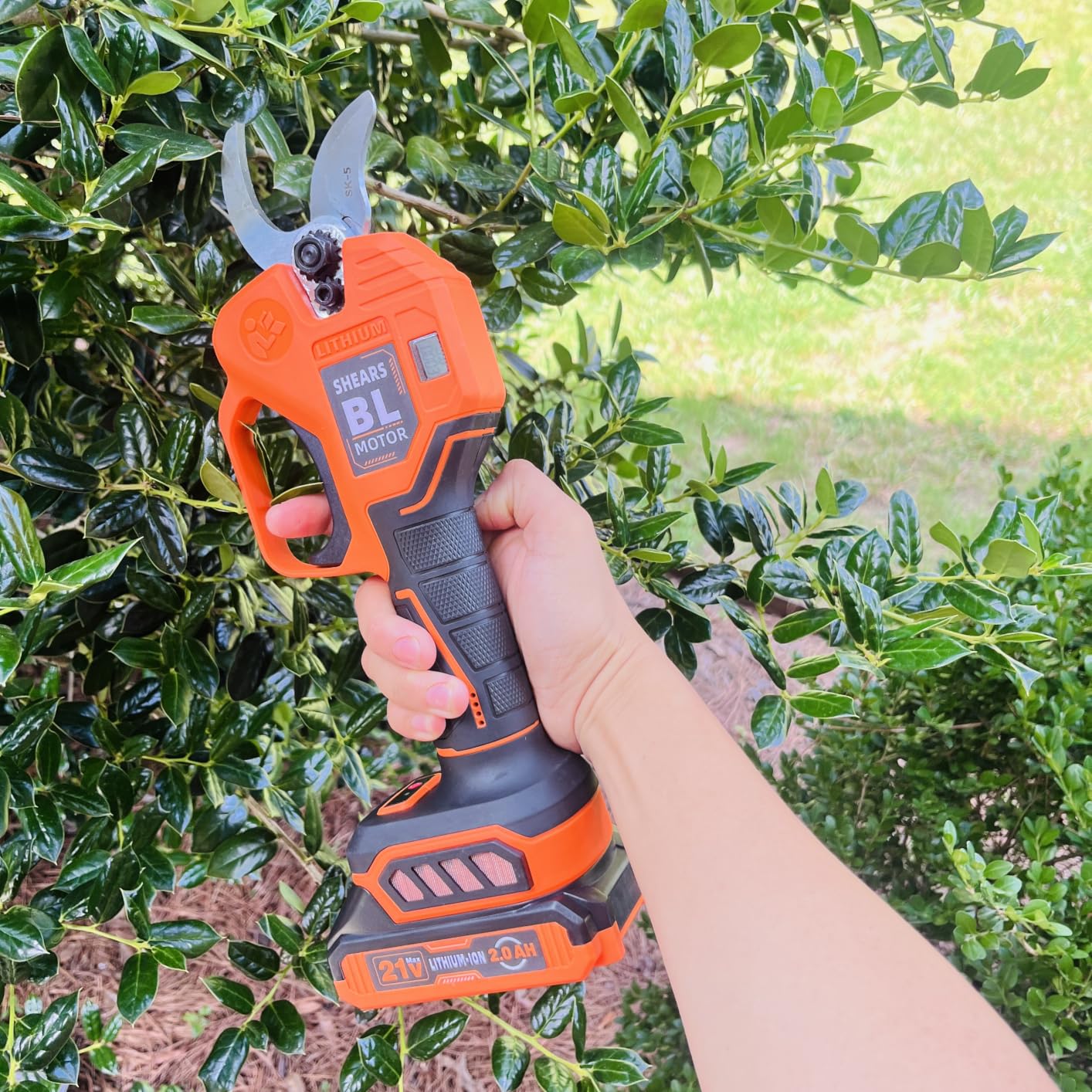 Effort-Saving Electric Pruning Shears, Power Cuts 1.6