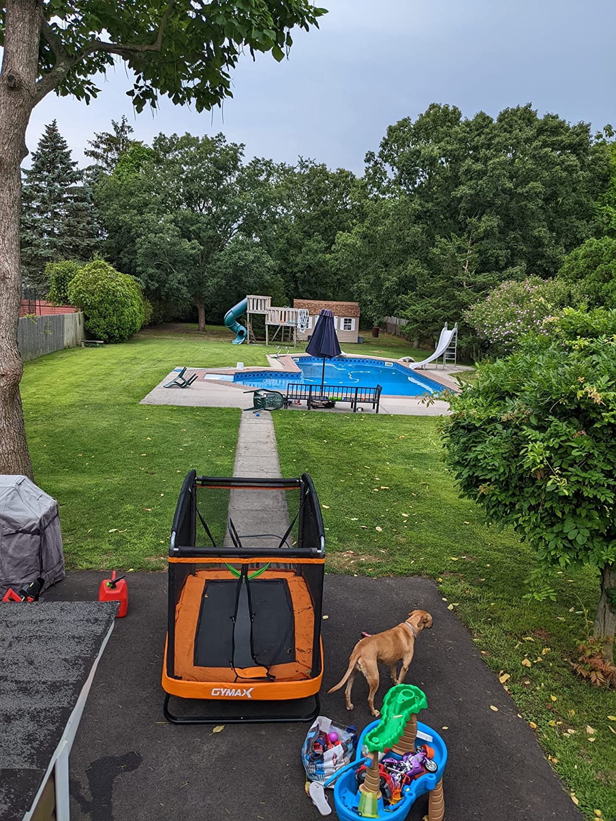 Giantex 6 FT Trampoline for Kids with Swing, Toddler Trampolines with Safety Enclosure Net, ASTM Approved, Rectangle Indoor & Outdoor Mini Kids Trampoline customer photo 1
