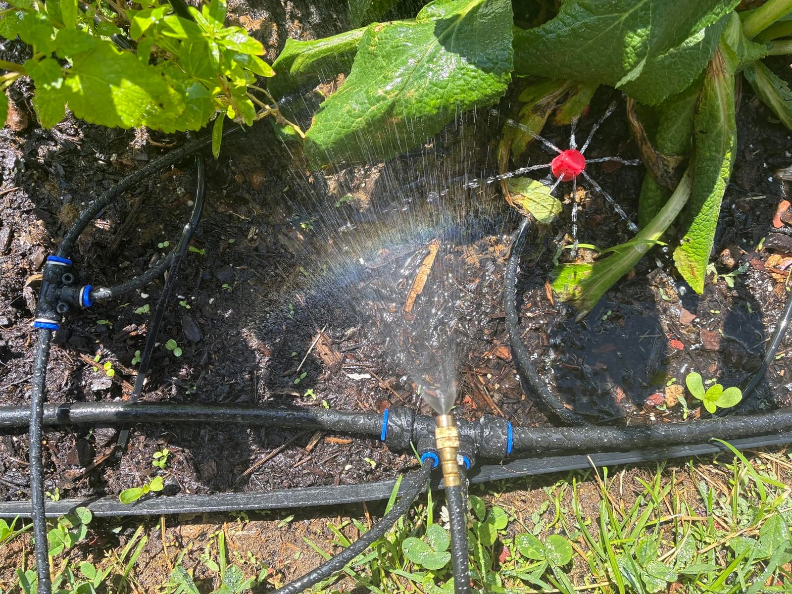 100FT Drip Irrigation Kit with 30 Emitters, 3 Spray Types, Push-Fit System customer photo 1
