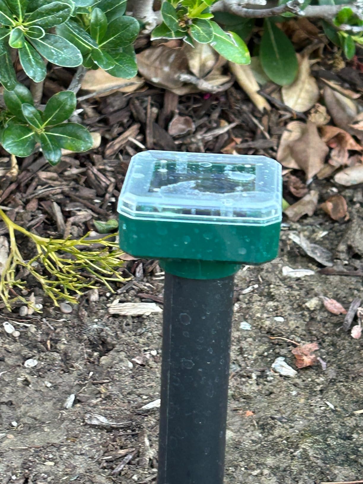 8 Pack Mole Repellent Solar Powered, Waterproof Vole Chipmunk Repellent Outdoor,Ultrasonic Gopher Repeller for Lawn Garden, Mole Deterrent,Groundhog Repeller, Snake customer photo 1