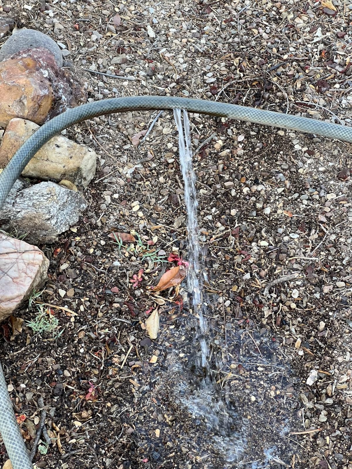 Wiseflow Garden Hose 50FT x 5/8