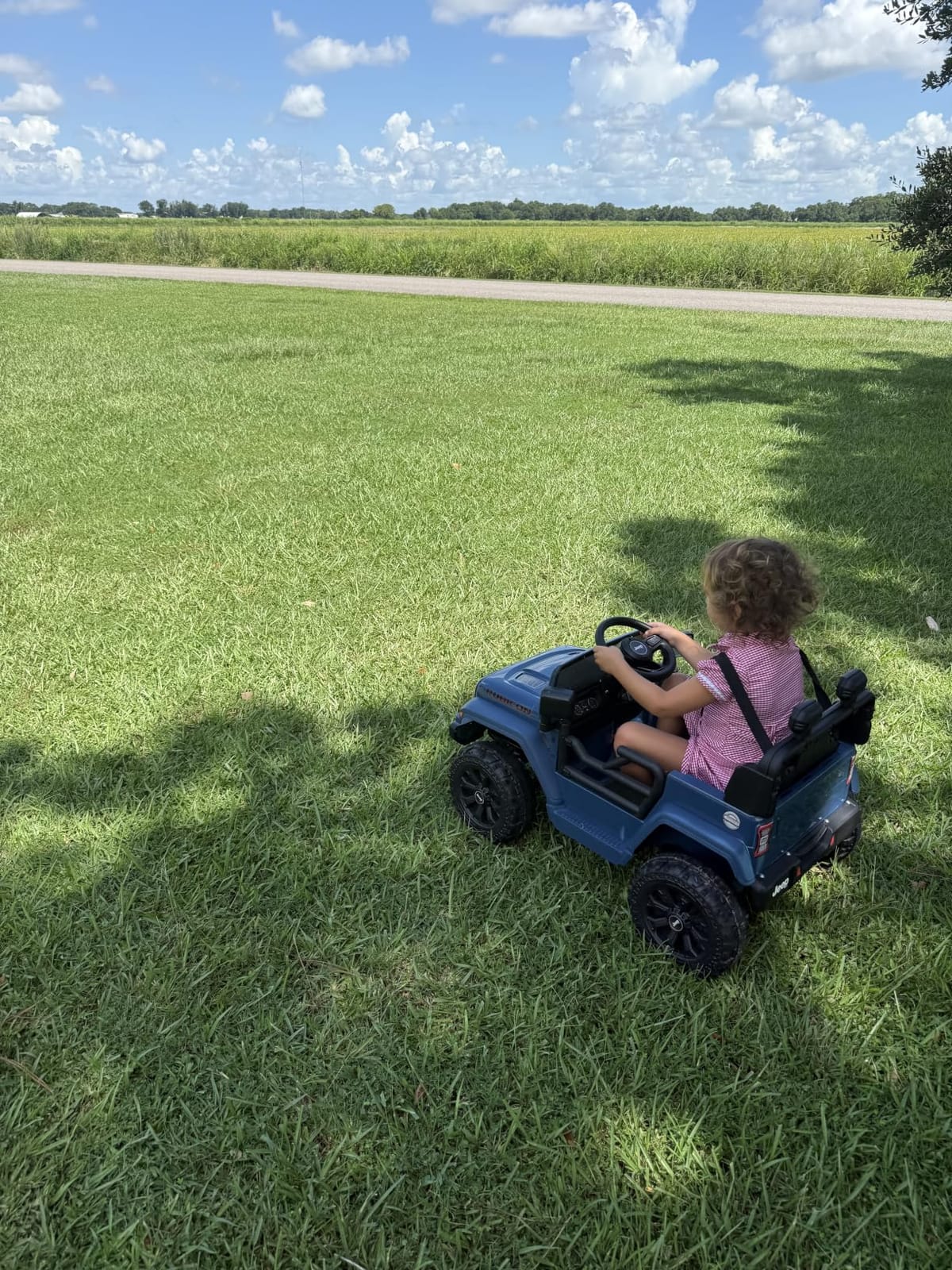 Licensed Jeep Wrangler Rubicon Ride On Car for Kids, 12V Battery Powered Electric Toy Truck with Parent Remote Control, Bluetooth Music, LED Lights, Dual Motors, Suspension (Pink) customer photo 1